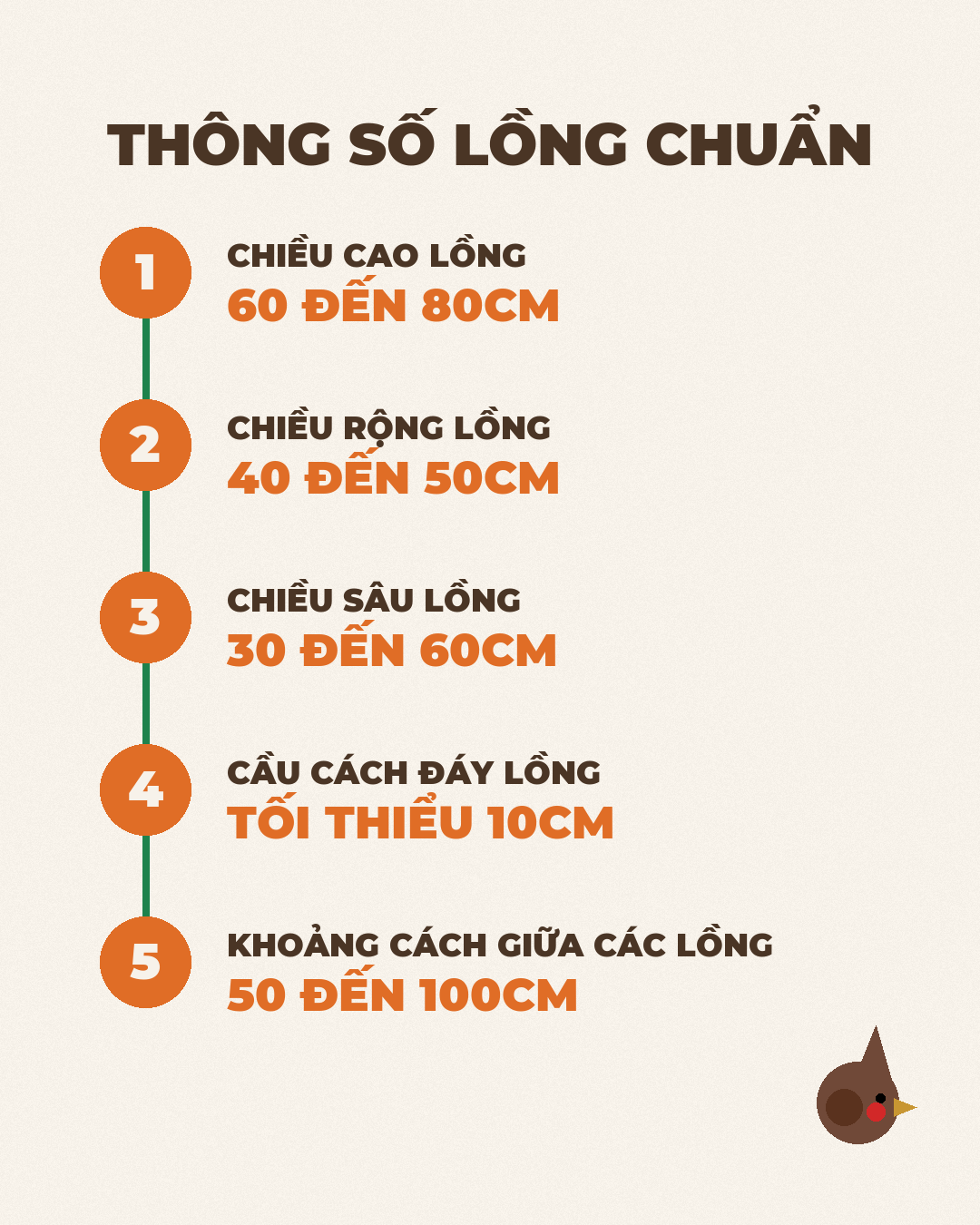 Infographic: Bố Trí Lồng Nuôi Chào Mào Chuẩn: Kích Thước, Khoảng Cách Cầu Và Hướng Đặt