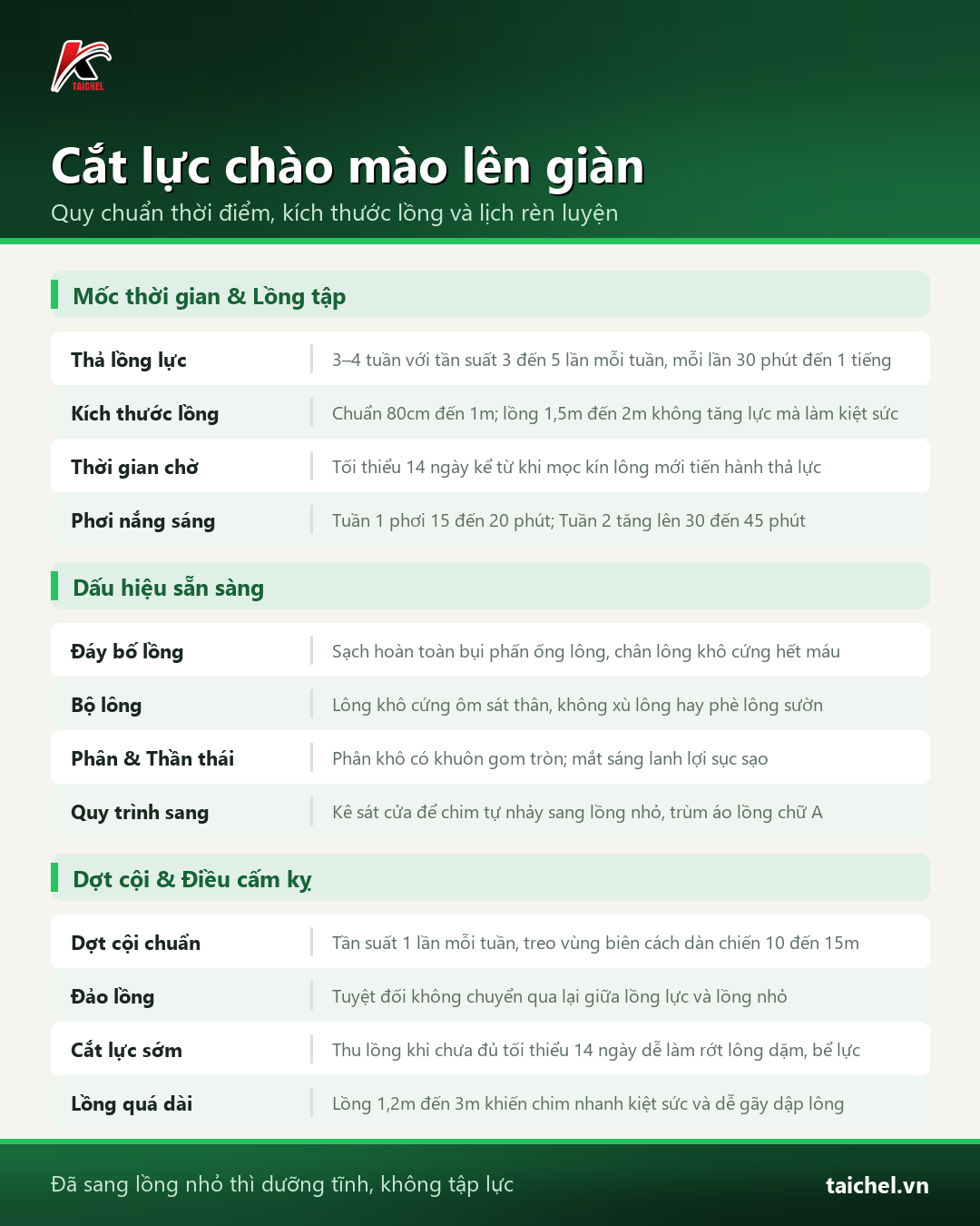 Infographic tóm tắt Cắt lực chào mào lên giàn: Quy chuẩn thời điểm, kích thước lồng và lịch rèn luyện