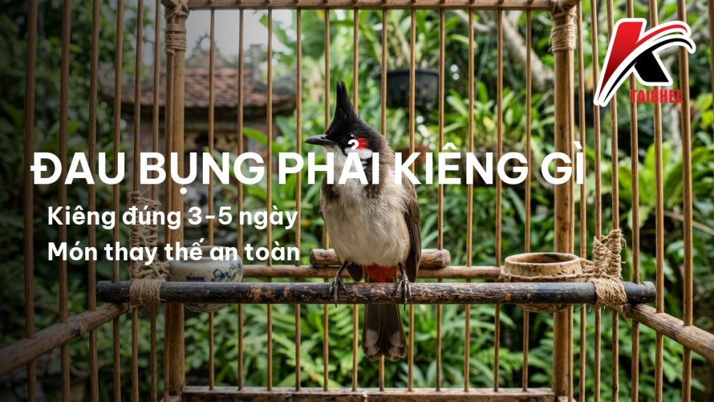Chào Mào Đau Bụng Phải Kiêng Gì: Nguyên Tắc Cắt Mồi Tươi Không Phải Ai Cũng Biết