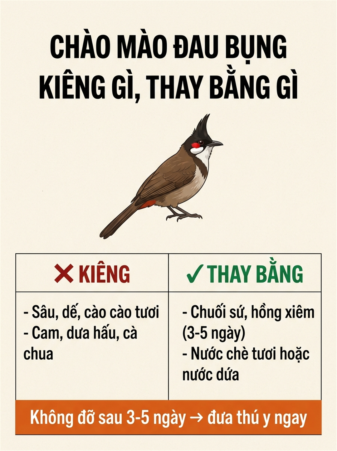 Infographic: Chào Mào Đau Bụng Phải Kiêng Gì: Nguyên Tắc Cắt Mồi Tươi Không Phải Ai Cũng Biết