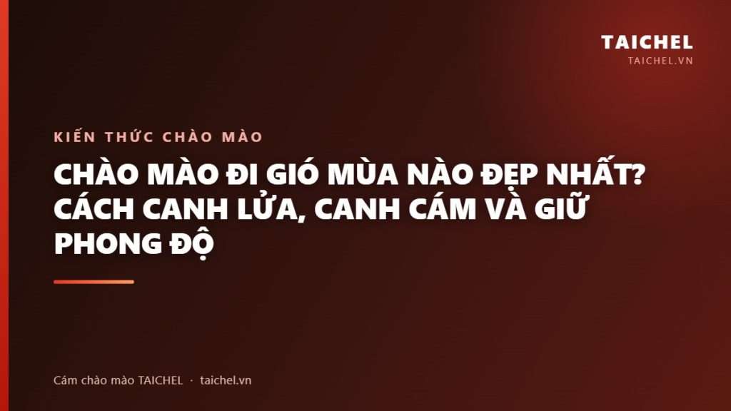 Chào Mào Đi Gió Mùa Nào Đẹp Nhất? Cách Canh Lửa, Canh Cám Và Giữ Phong Độ