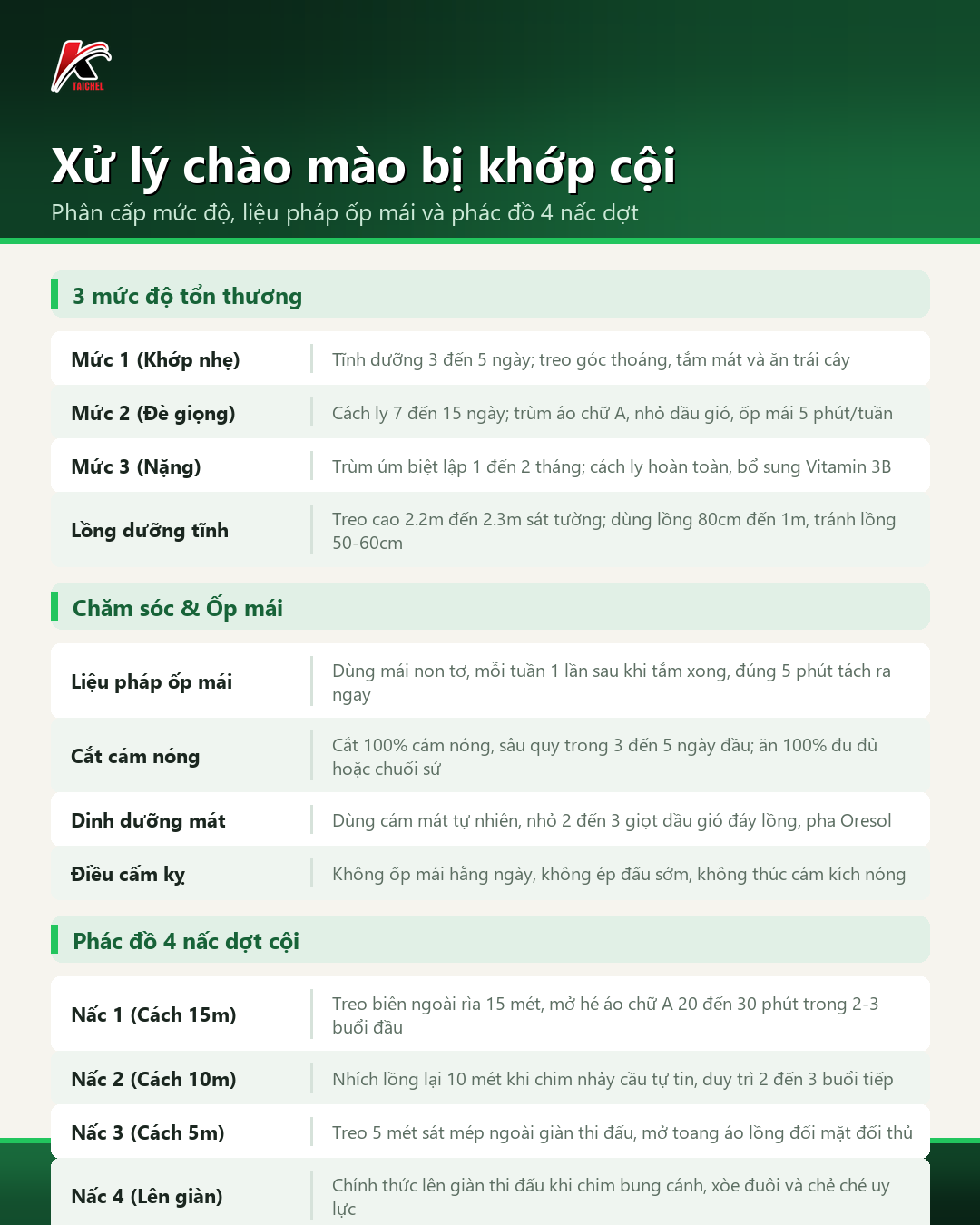 Infographic tóm tắt Xử lý chào mào bị khớp cội: Phân cấp mức độ, liệu pháp ốp mái và phác đồ 4 nấc dợt
