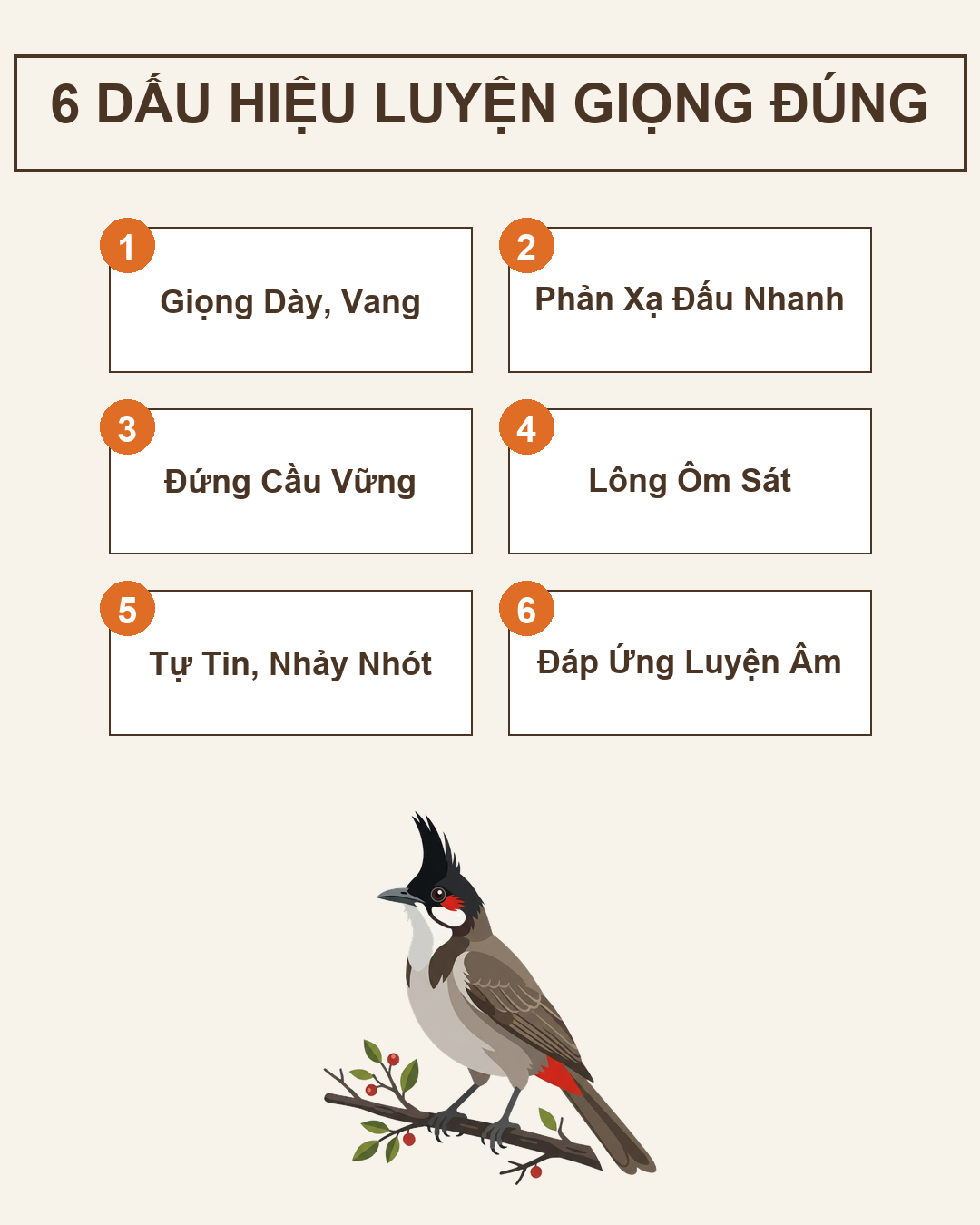 Infographic: Chào Mào Luyện Giọng Đấu Đúng Hướng: 6 Dấu Hiệu Nhận Biết Và Mốc 1-3 Tháng