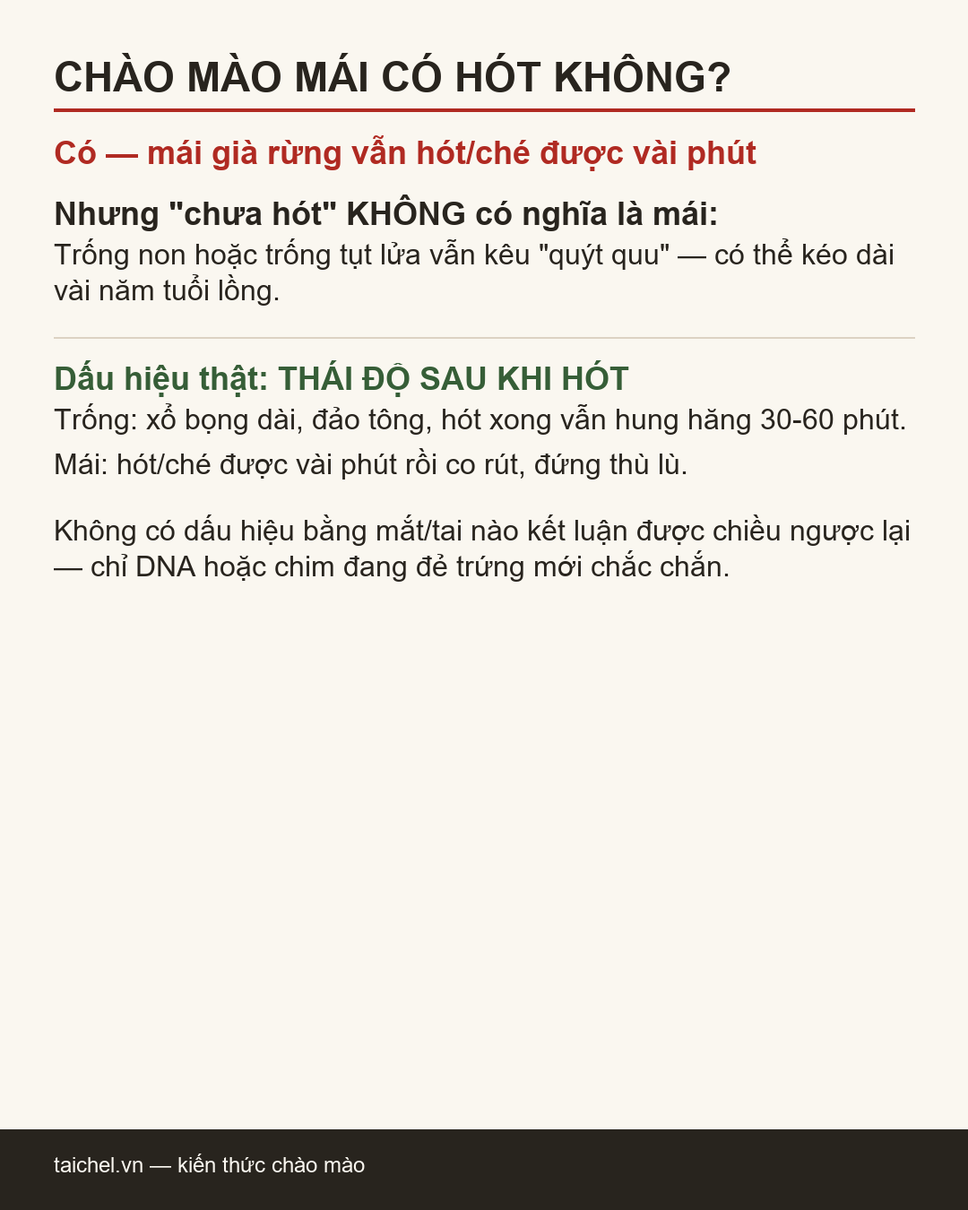 Infographic Chào mào mái có hót, có ché không? Vì sao chưa hót chưa chắc là mái