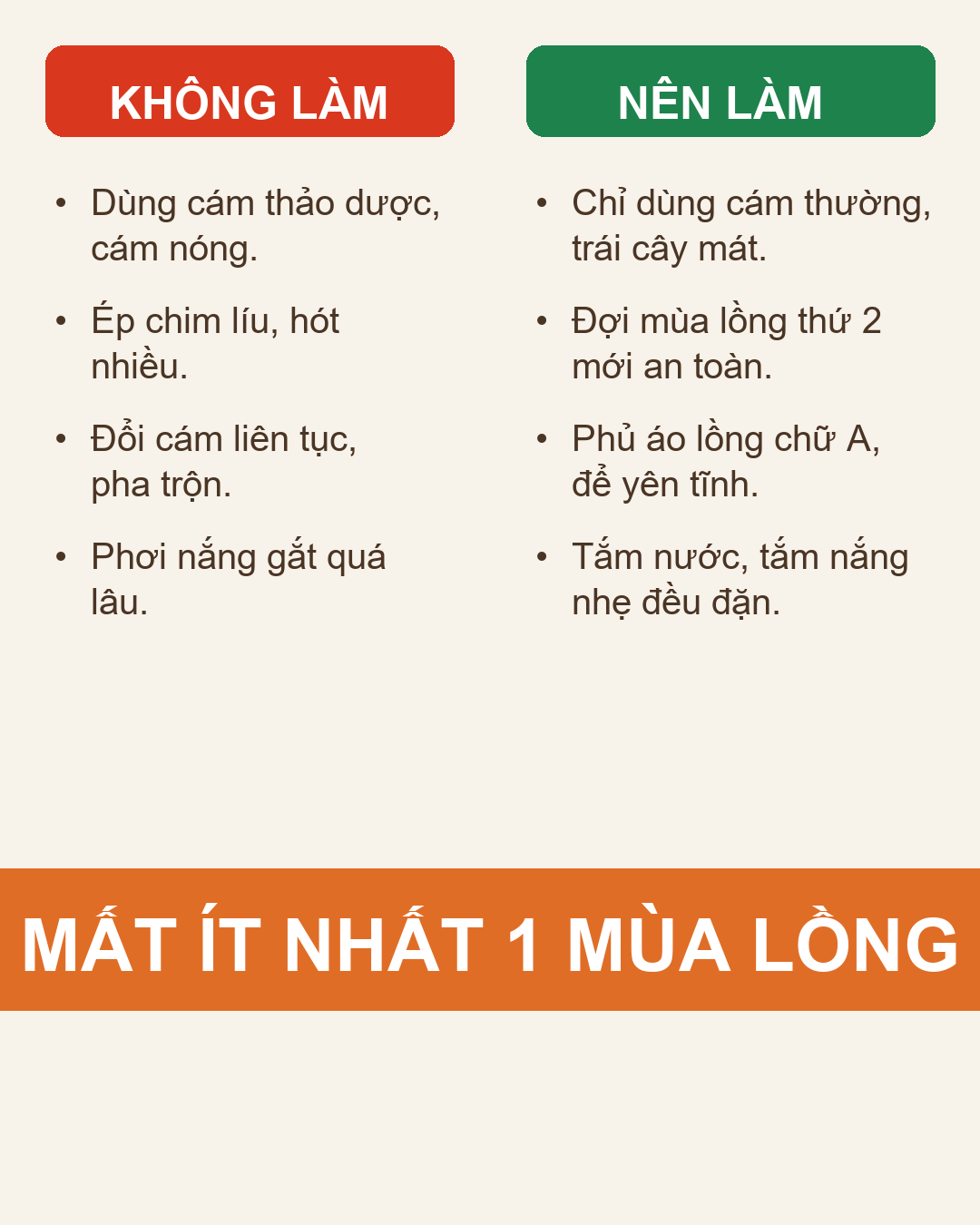 Infographic: Chào Mào Mộc Chưa Thay Lông Rừng: Vì Sao Tuyệt Đối Cấm Dùng Thảo Dược