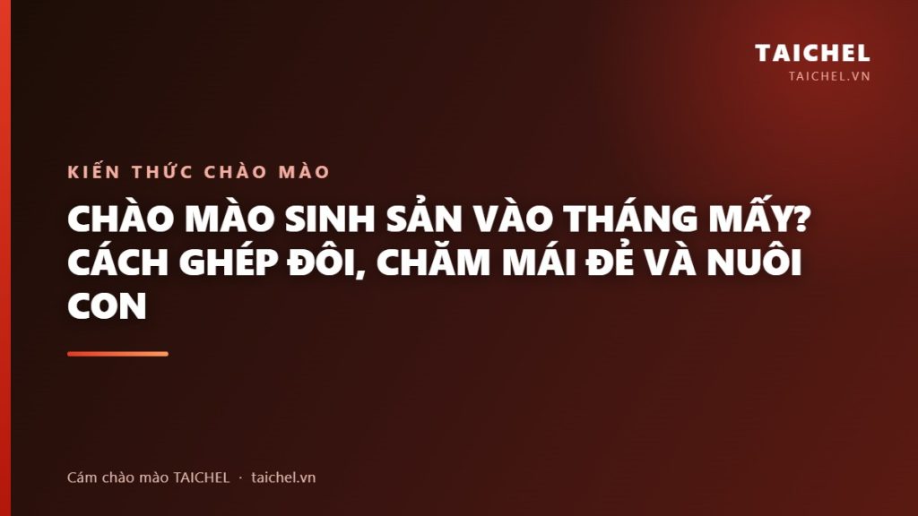 Chào Mào Sinh Sản Vào Tháng Mấy? Cách Ghép Đôi, Chăm Mái Đẻ Và Nuôi Con