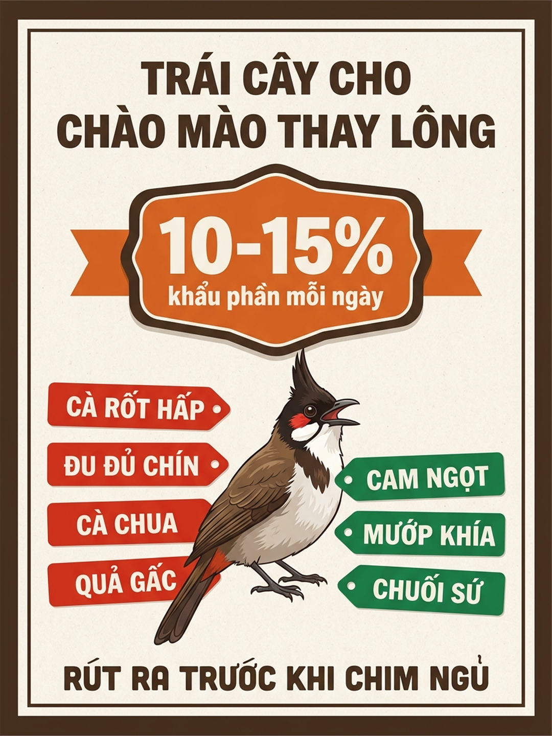 Infographic: Chào Mào Thay Lông Ăn Trái Cây Gì: Cam, Đu Đủ Và Tỷ Lệ Không Gây Bội Thực
