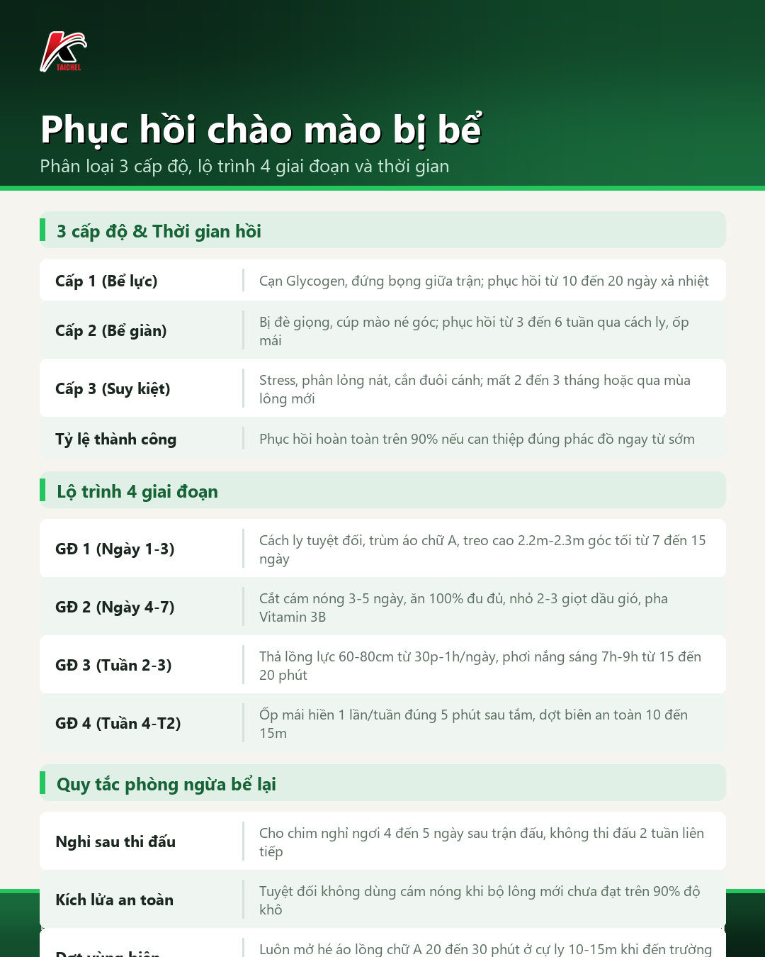 Infographic tóm tắt Phục hồi chào mào bị bể: Phân loại 3 cấp độ, lộ trình 4 giai đoạn và thời gian
