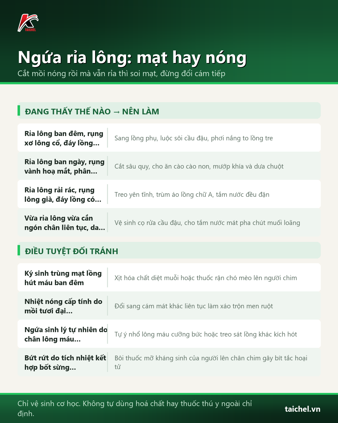 Bảng phân biệt ngứa do mạt lồng với ngứa do nóng và các bước vệ sinh cơ học cho chim khuyên