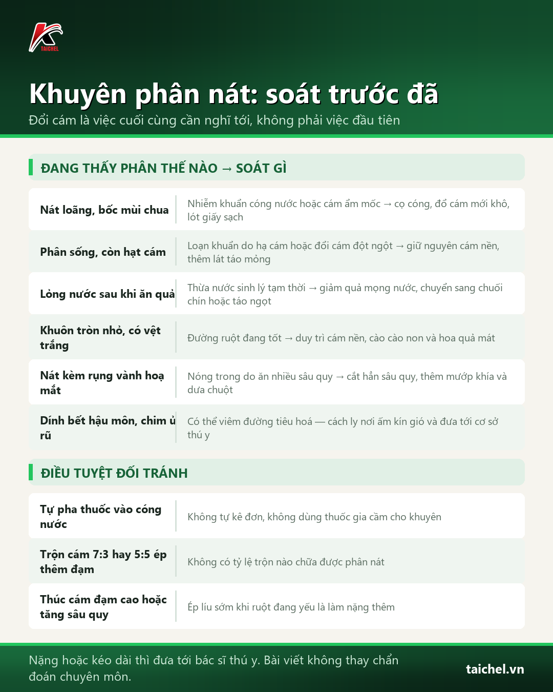 Bảng soát các dạng phân ở chim khuyên, nguyên nhân và việc cần làm