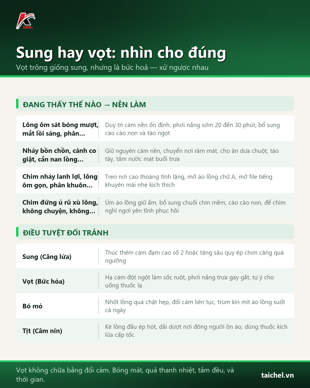 Bảng phân biệt 4 trạng thái chim khuyên sung, vọt, bó mỏ và tịt tiếng