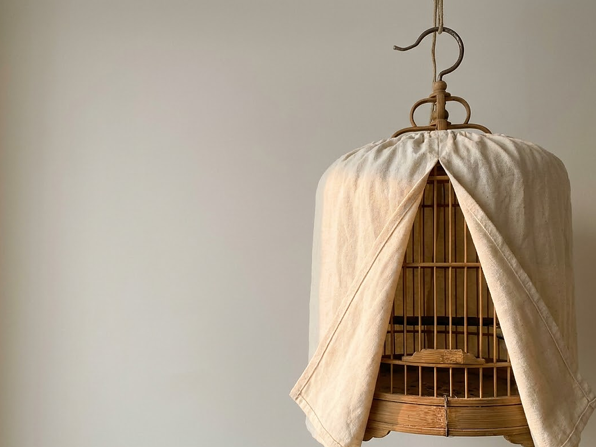 Lồng chim vành khuyên treo nơi thoáng mát thuần nết đứng cầu tĩnh tâm