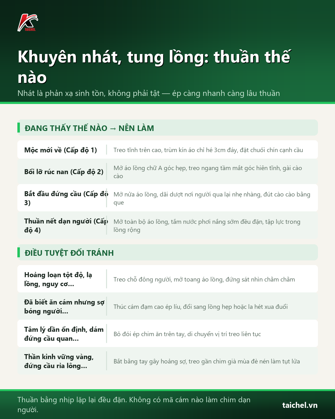 Bảng phân tích 4 mức độ nhát người ở chim khuyên và cách thuần không hỏng lông