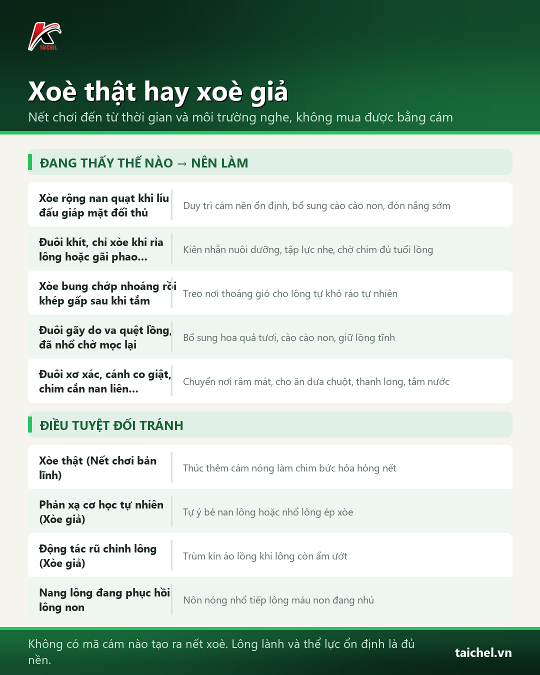Bảng phân biệt xòe thật xòe giả và quy trình ép chòe cho chim khuyên
