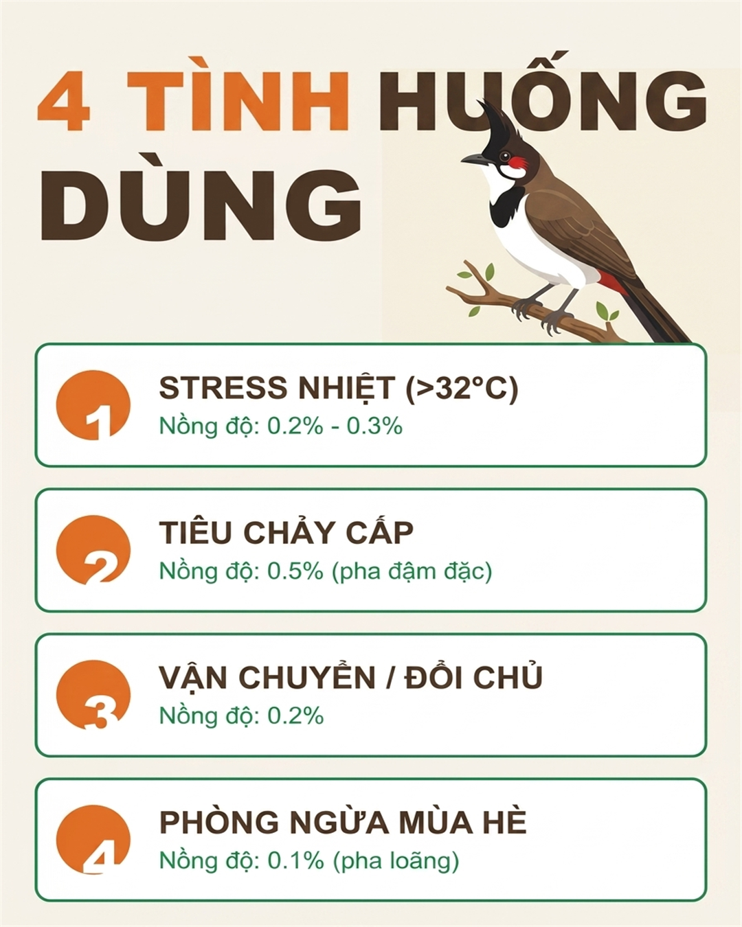 Infographic: Điện Giải Cho Chào Mào: Công Thức Pha Chuẩn Và Khi Nào Cần Dùng