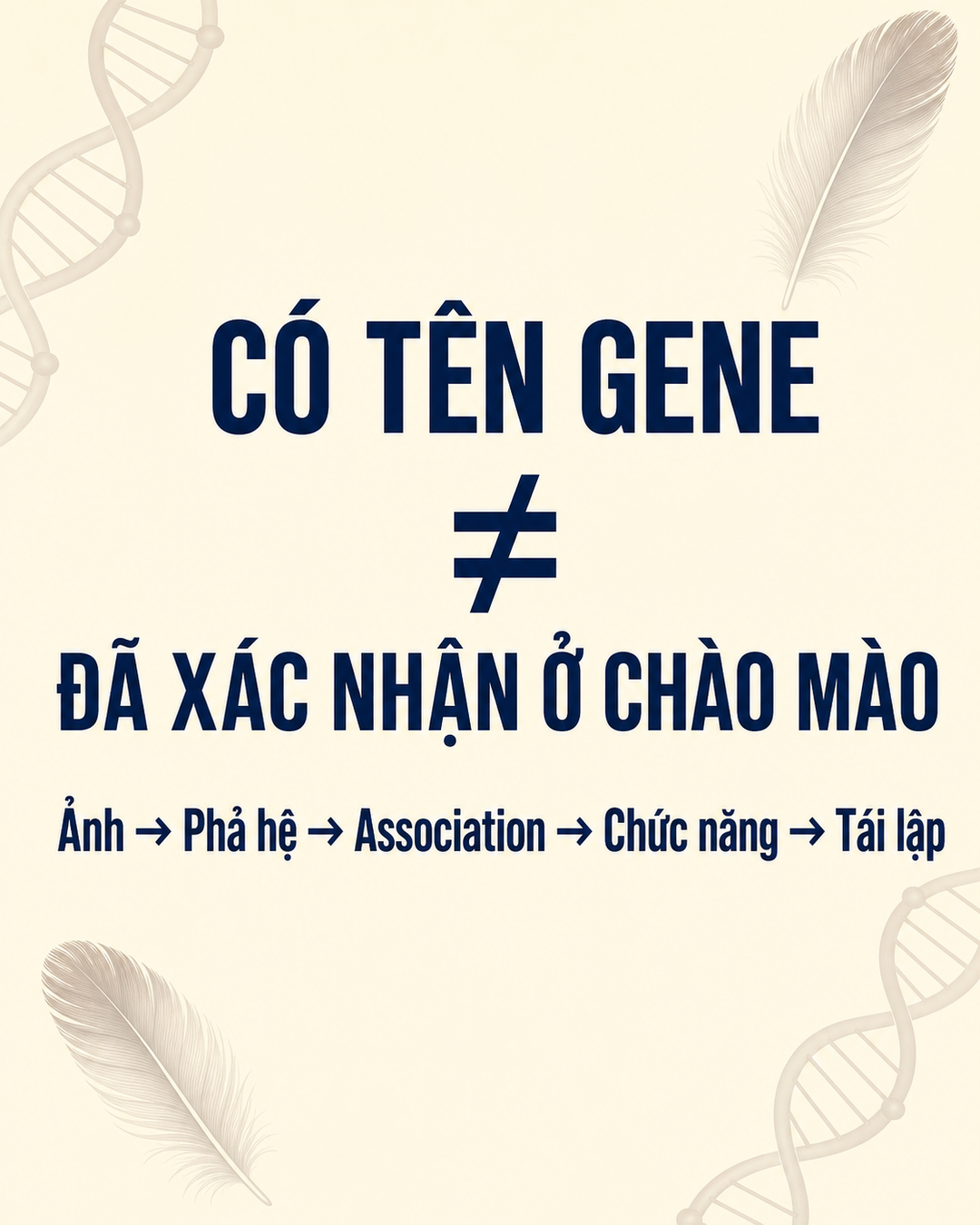 gene màu lông chim