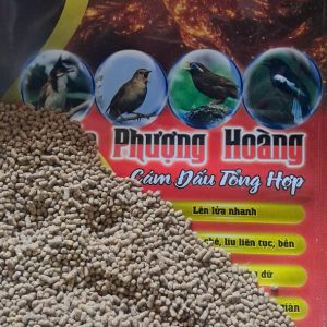 Hạt cám Hoả Phượng Hoàng TAICHEL cận cảnh
