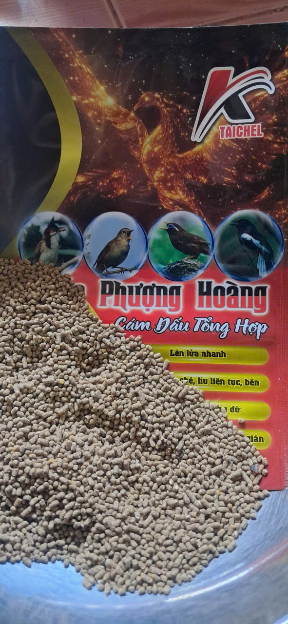 Hạt cám Hoả Phượng Hoàng TAICHEL cận cảnh