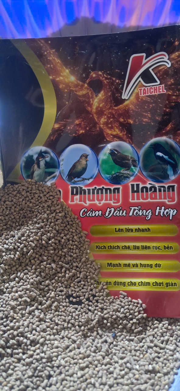 Hoả Phượng Hoàng TAICHEL cám đấu tổng hợp cho chim chơi giàn