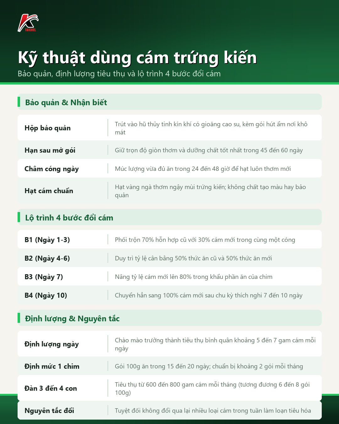 Infographic tóm tắt Kỹ thuật dùng cám trứng kiến: Bảo quản, định lượng tiêu thụ và lộ trình 4 bước đổi cám