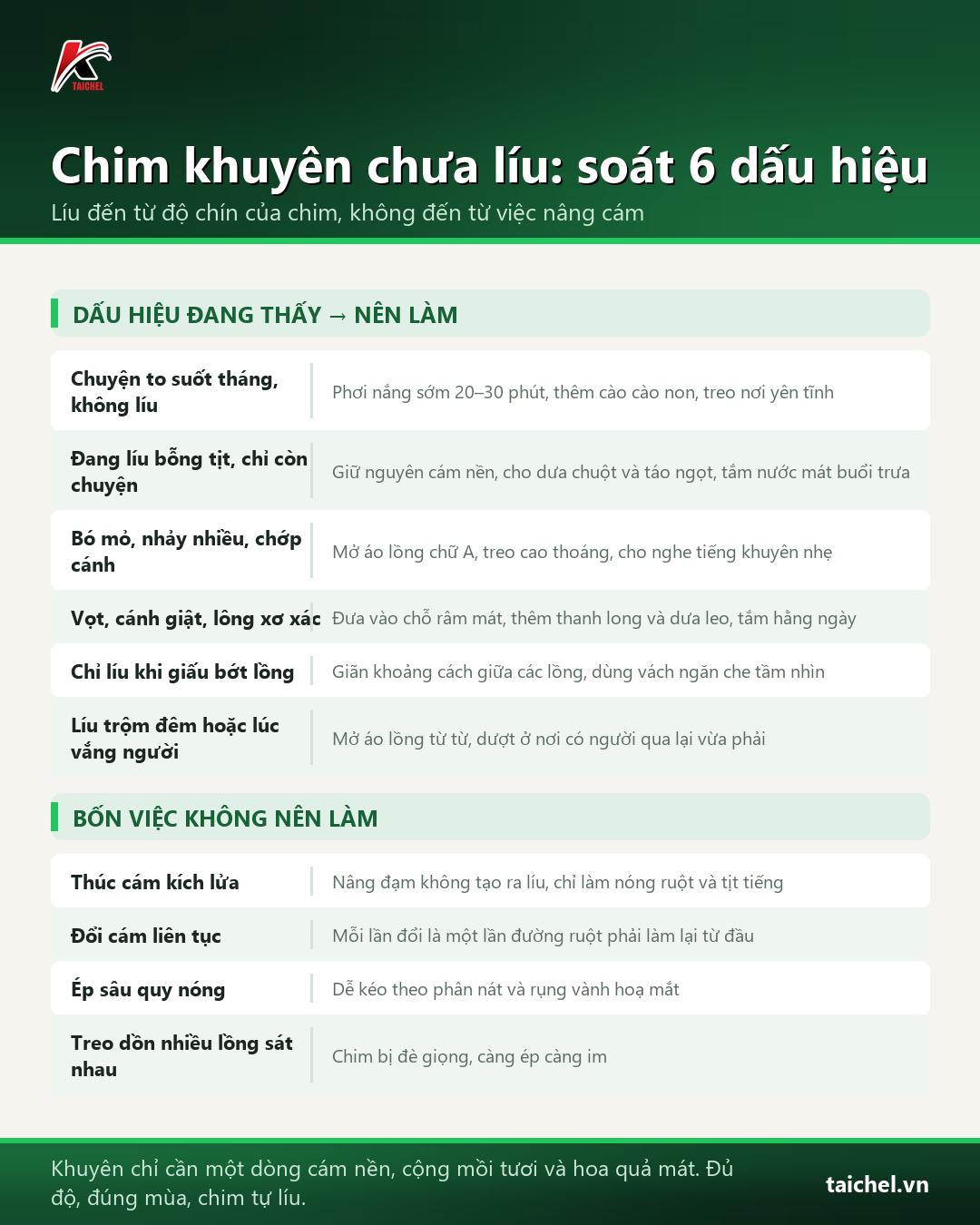 Bảng soát 6 dấu hiệu chim vành khuyên chưa líu và việc nên làm