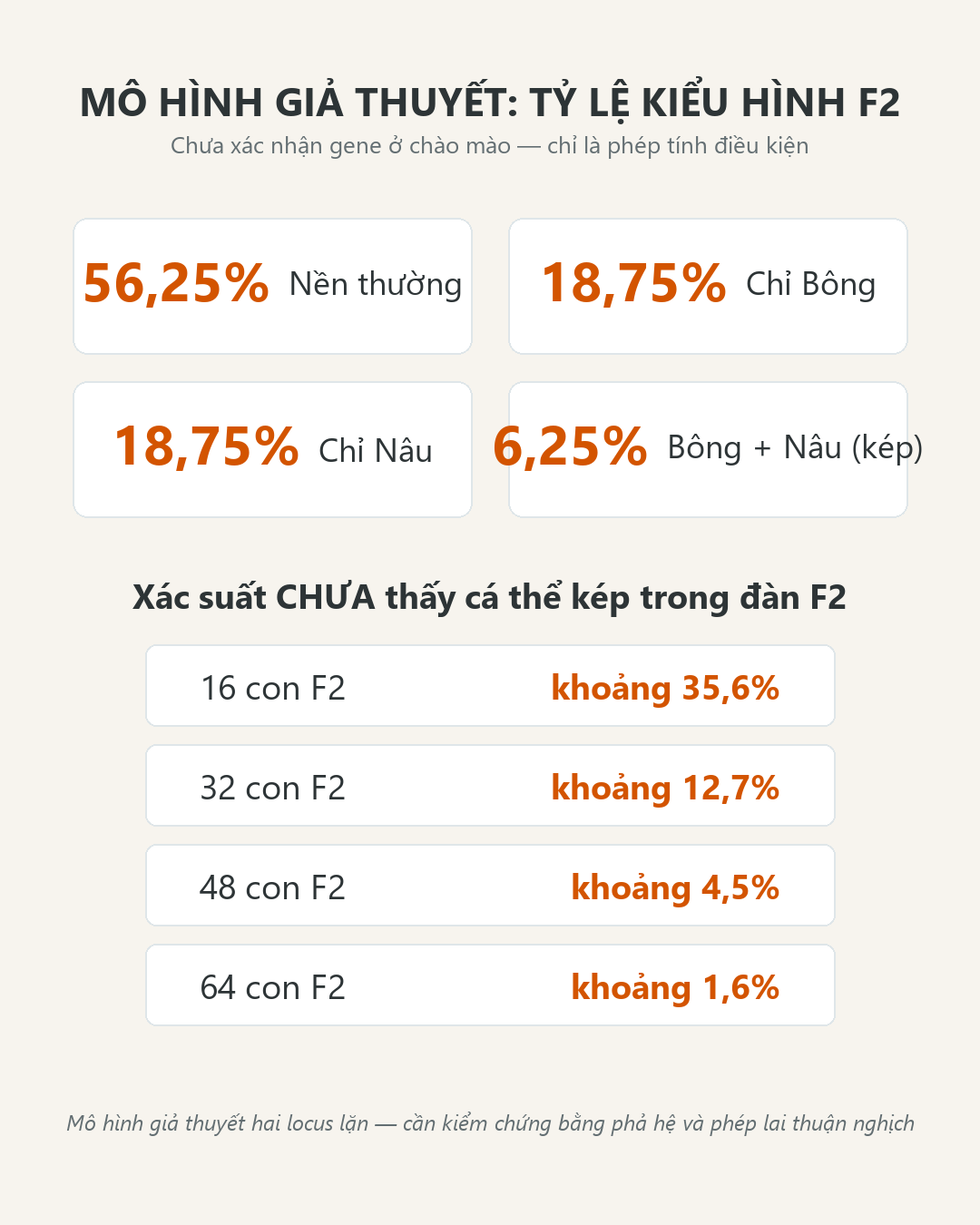 Infographic: Bông + Nâu ở chào mào: Mô hình lai F1–F2