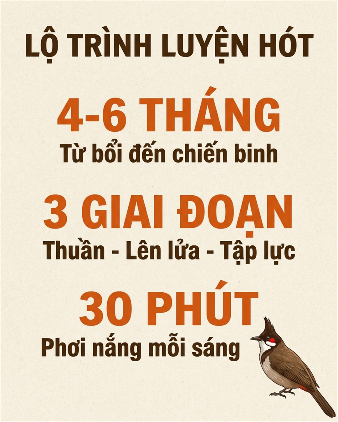 luyện chào mào hót