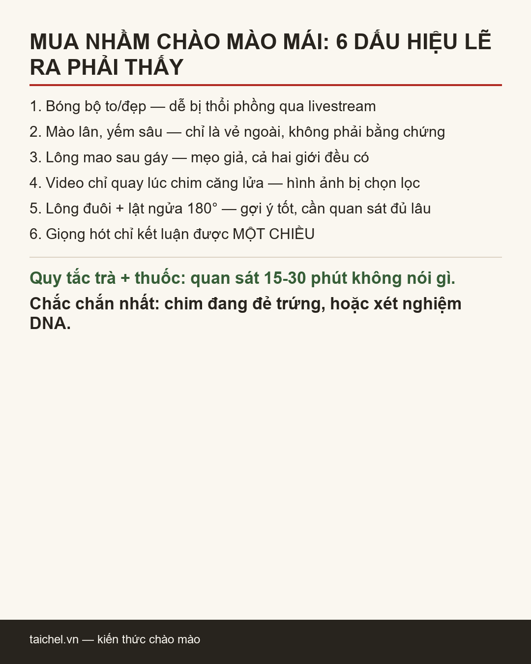 Infographic Mua nhầm chào mào mái: câu chuyện, 6 dấu hiệu lẽ ra phải thấy, và cách soi lại từ đầu