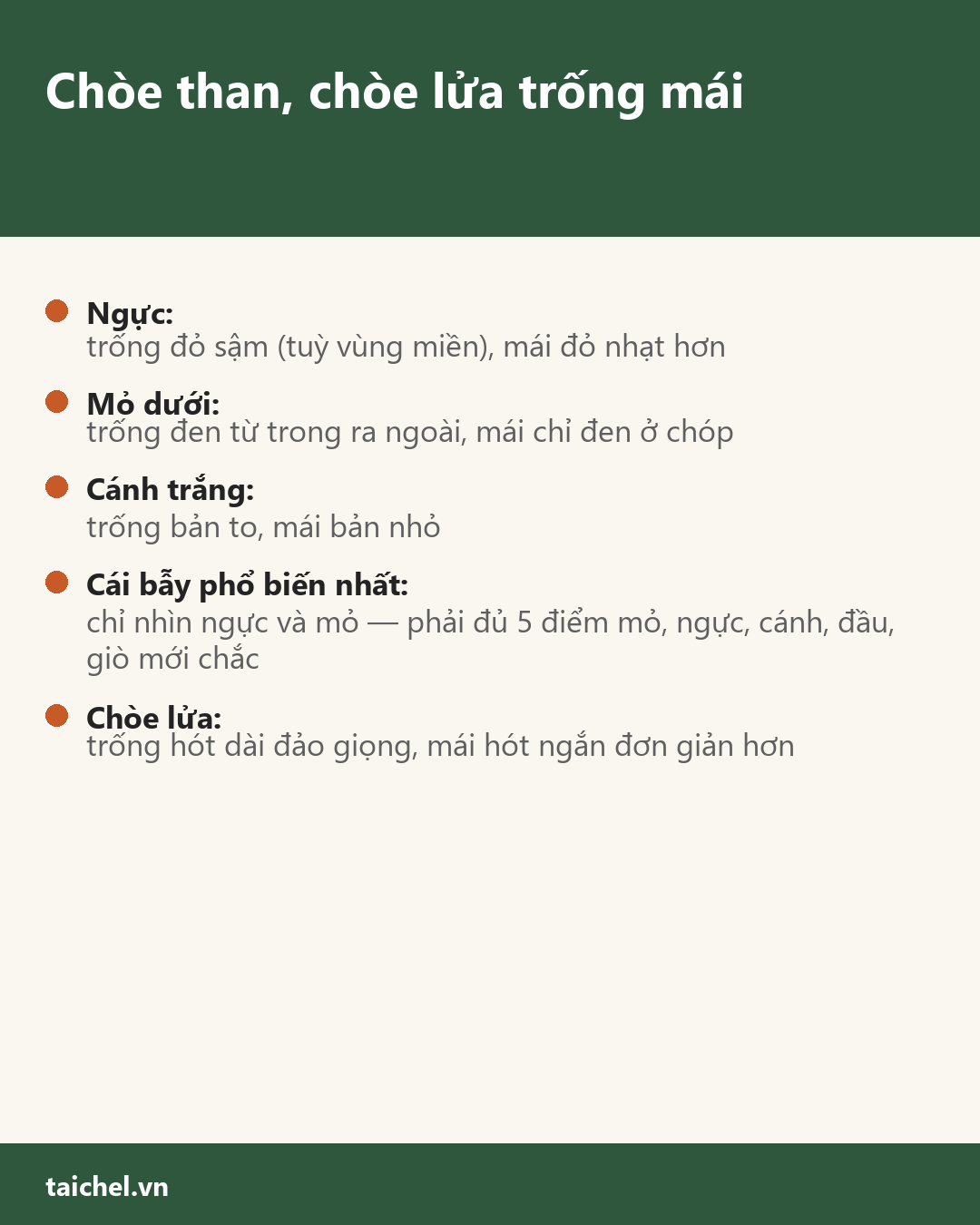 Infographic Chòe than, chòe lửa trống mái: 5 điểm vàng và cái bẫy nhìn mỗi ngực với mỏ