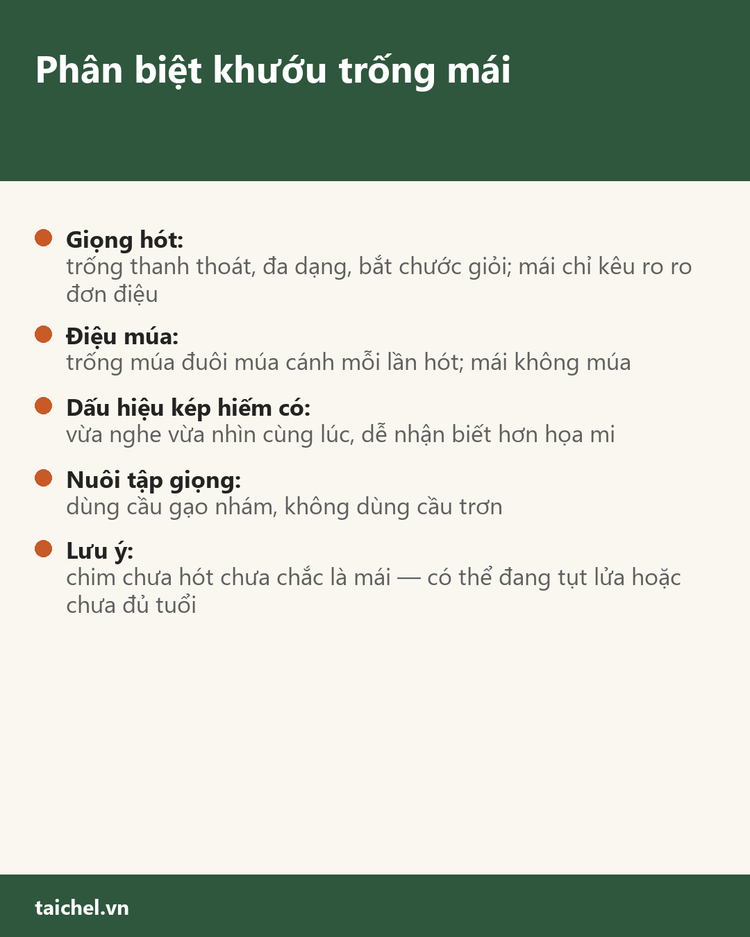 Infographic Phân biệt khướu trống mái: giọng bắt chước và điệu múa đuôi-cánh
