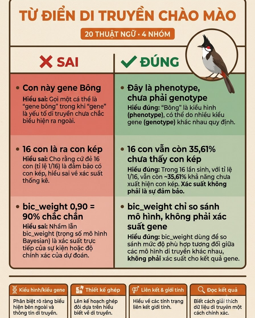 infographic 20 thuật ngữ di truyền chào mào — nói sai và nói đúng