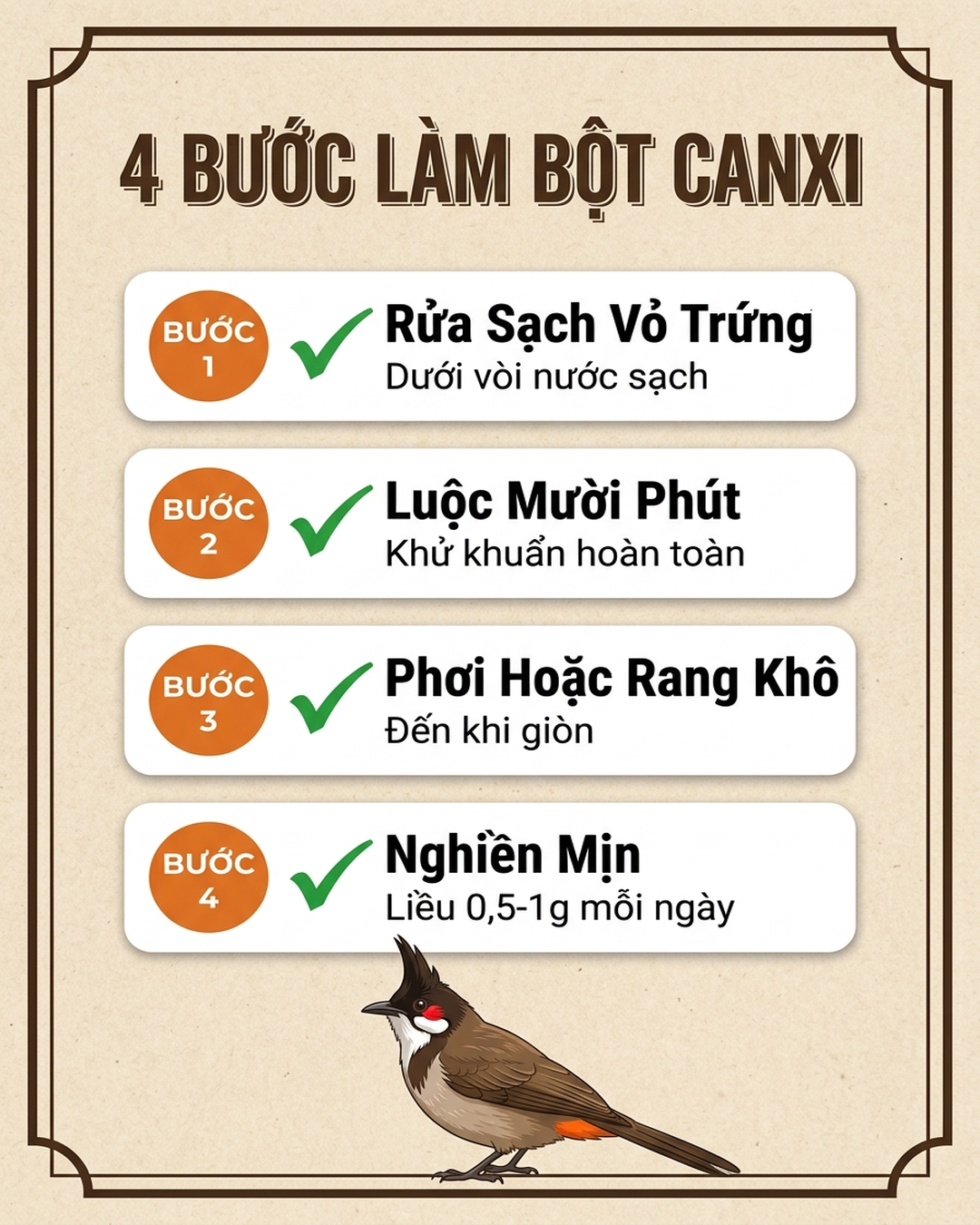 Infographic: Vỏ Trứng Gà Cho Chào Mào Thay Lông: Cách Làm Bột Canxi Tại Nhà 4 Bước
