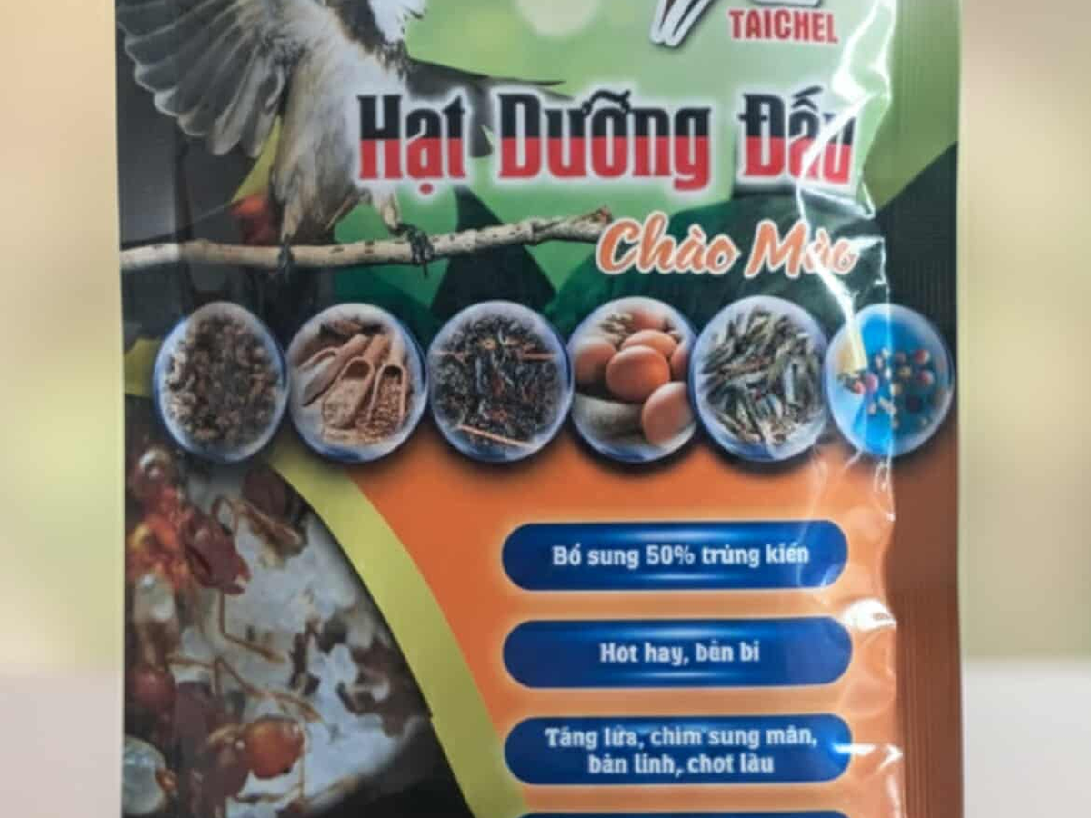 Chiết cám chim sang hũ nhỏ đậy kín nắp để dùng hằng ngày