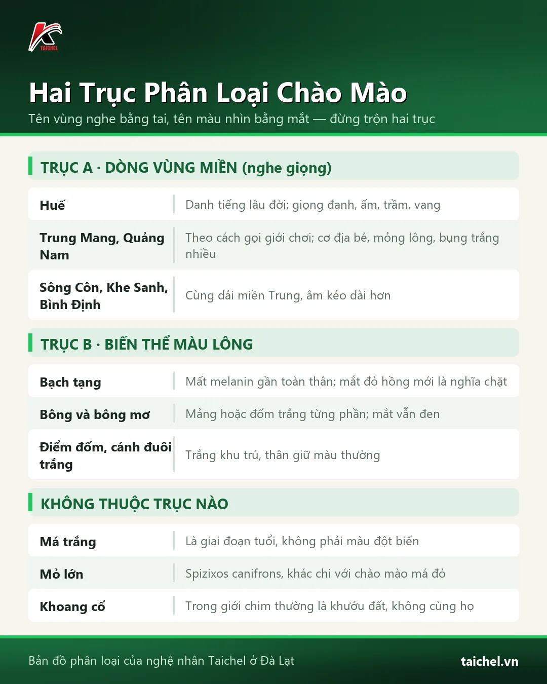 Infographic: Bản Đồ Các Loại Chào Mào Ở Việt Nam: Hai Trục Phân Biệt Và 3 Cái Tên Bị Gọi Nhầm