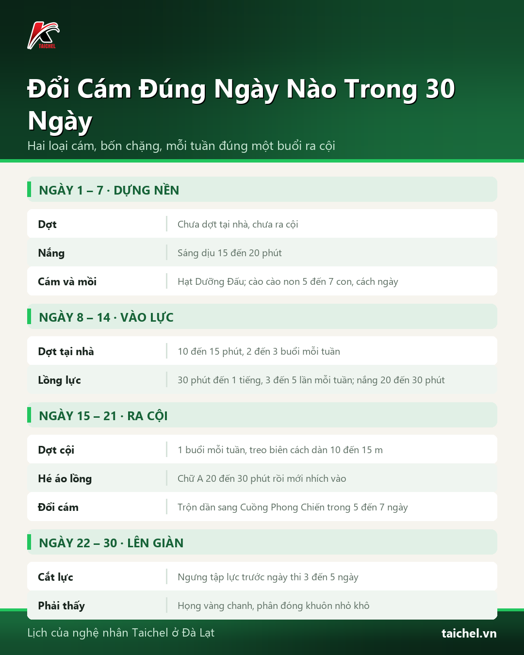 Infographic: CHỈ 2 Loại Cám Chào Mào Căng Lửa Và 1 Lịch Dợt 30 Ngày (Đổi Cám Đúng Ngày Nào)