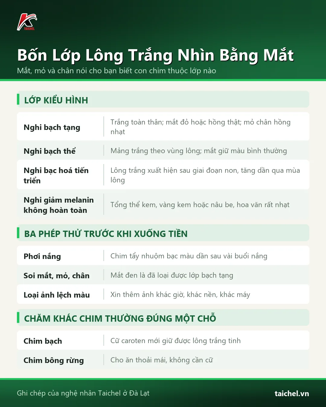 Infographic: Chào Mào Bạch Tạng: Bốn Lớp Kiểu Hình Phân Biệt Bằng Mắt Và Cách Bắt Bài Chim Tẩy Nhuộm