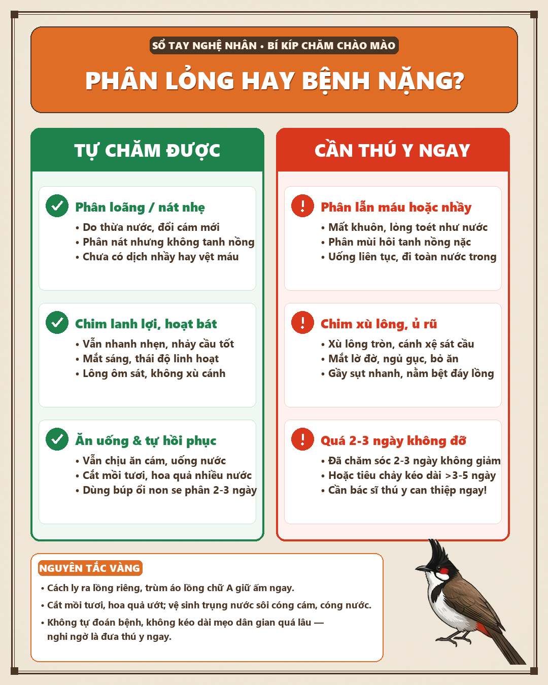 Infographic Chào Mào Đi Phân Lỏng, Phân Nát: 5 Nguyên Nhân Thường Gặp Và Cách Xử Lý Không Cần Thuốc Mạnh