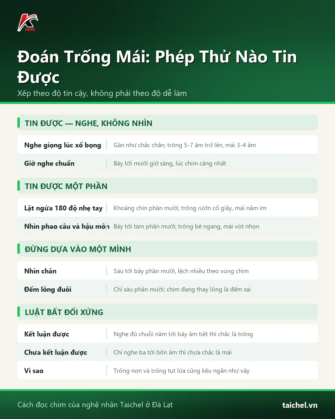 Infographic: Chào Mào Mái: 6 Sự Thật Nghệ Nhân Ít Nói Về Giọng Hót, Dáng Bộ Và Kỹ Thuật Nuôi