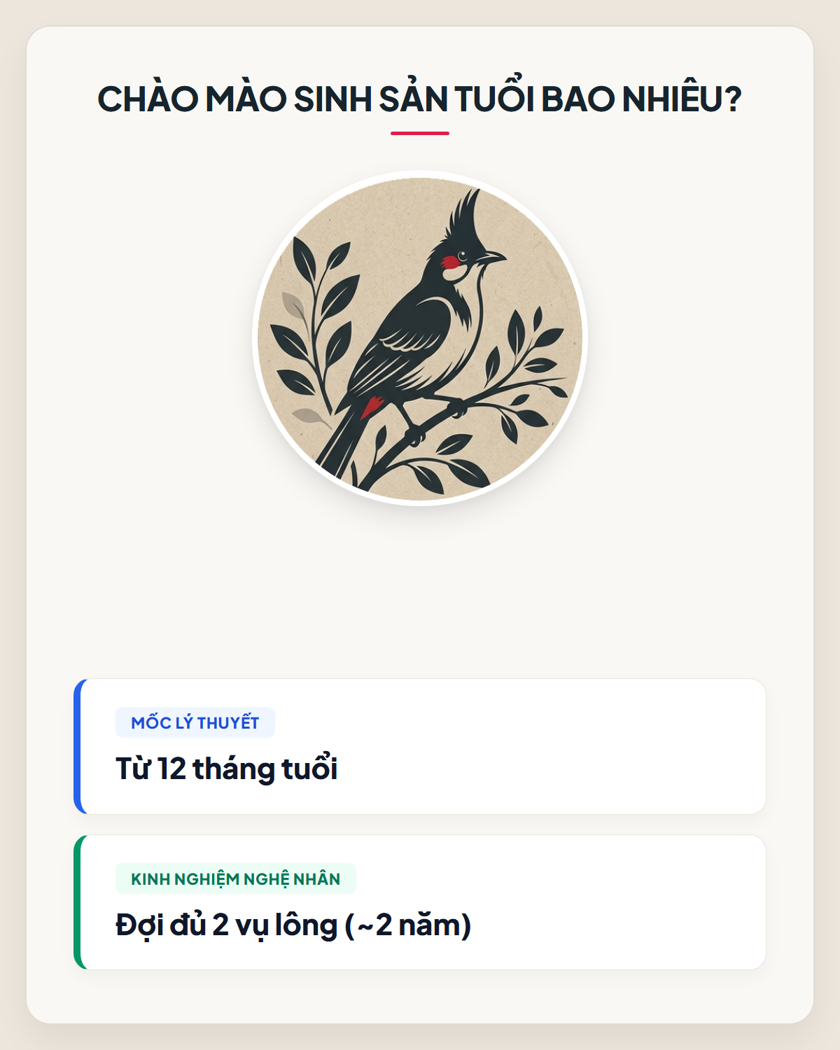 Infographic Chào Mào Bao Nhiêu Tuổi Thì Sinh Sản Được?