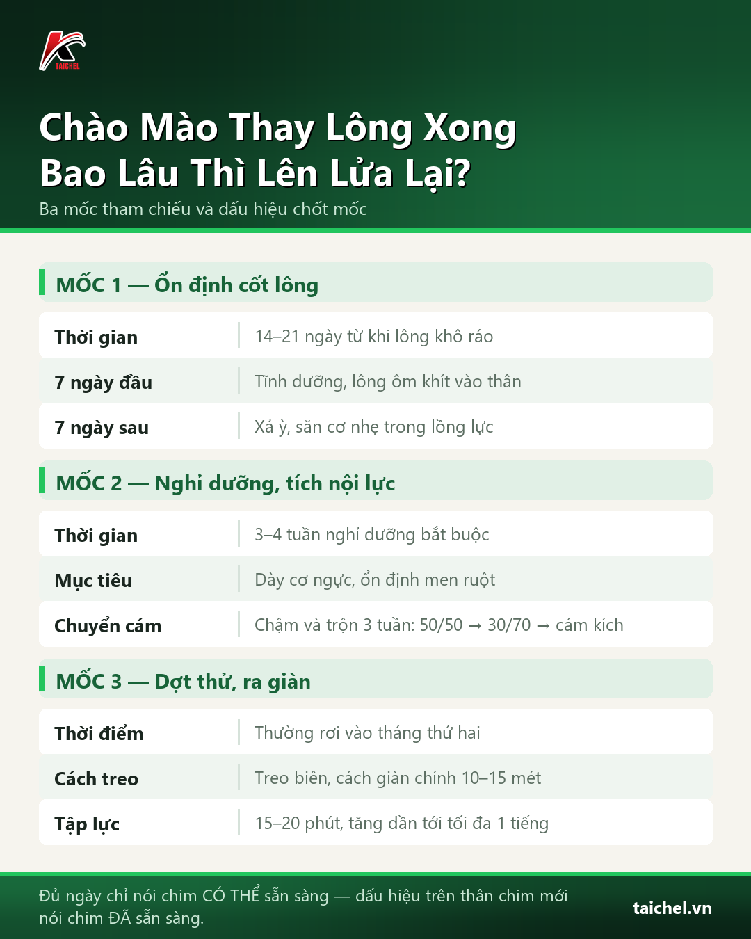 Infographic: Chào Mào Thay Lông Xong Bao Lâu Thì Lên Lửa Lại? Lộ Trình 3 Mốc