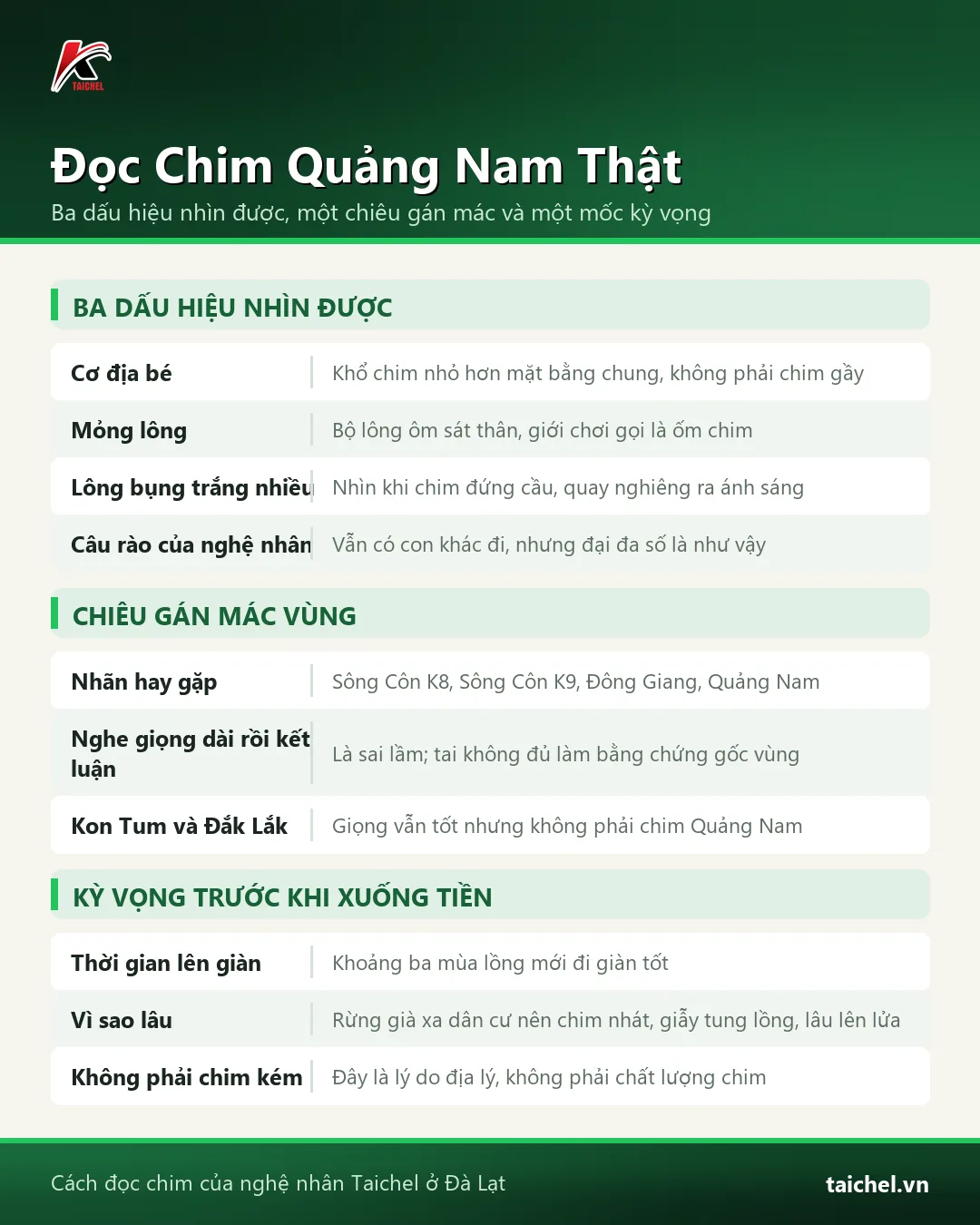 Infographic: Chào Mào Trung Mang: Cái Tên Đắt Hơn Con Chim Và 3 Dấu Hiệu Nhận Diện Chim Quảng Nam Thật
