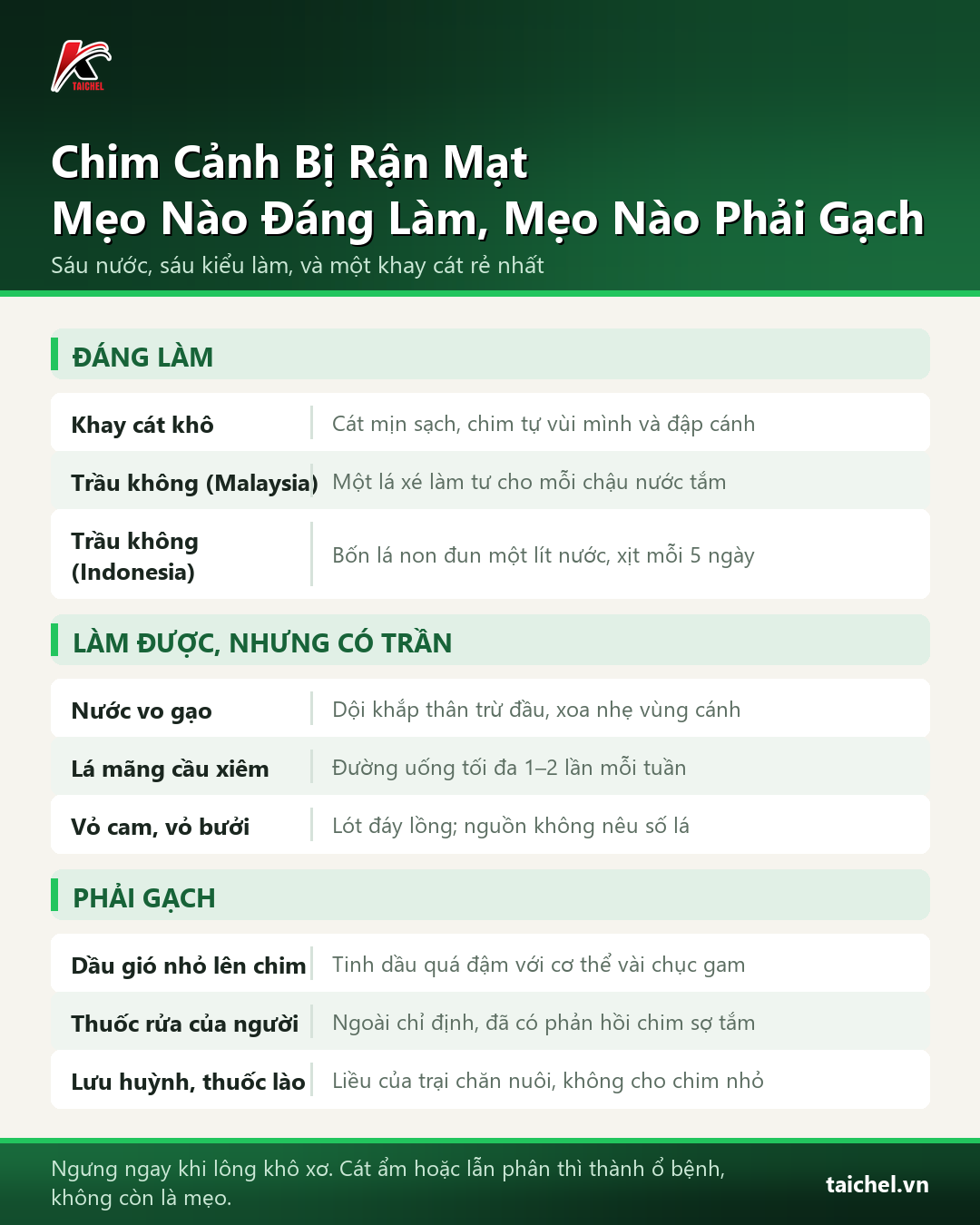 Infographic: Chim Cảnh Bị Rận Mạt: Mẹo Dân Gian Nào Thật Sự Hiệu Quả