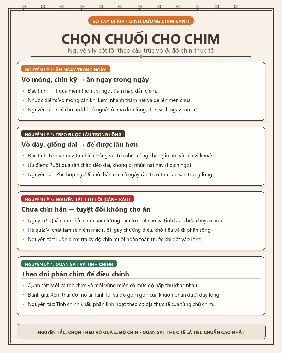 Infographic Chọn chuối cho chim cảnh đúng loại: Nguyên tắc theo mục đích ăn ngay hay để lâu trong lồng