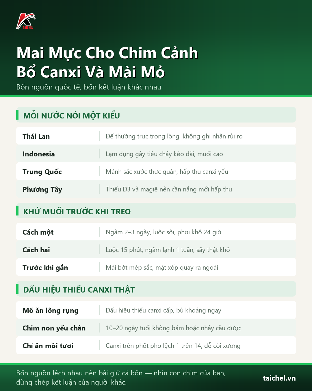 Infographic: Mai Mực Cho Chim Cảnh: Bổ Canxi Đúng Cách, Mài Mỏ Tự Nhiên