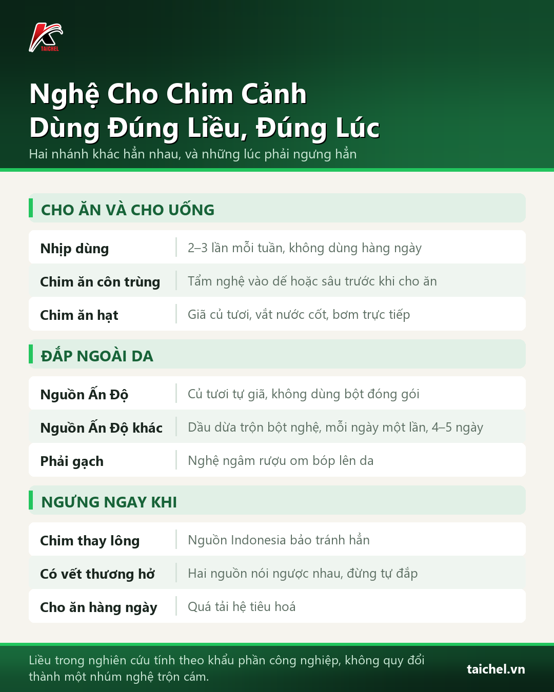 Infographic: Nghệ Cho Chim Cảnh: Dùng Đúng Liều, Đúng Lúc, Tránh Lạm Dụng