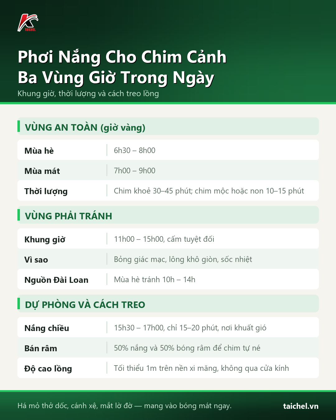 Infographic: Phơi Nắng Cho Chim Cảnh: Khung Giờ Chuẩn Và Bao Lâu Là Đủ