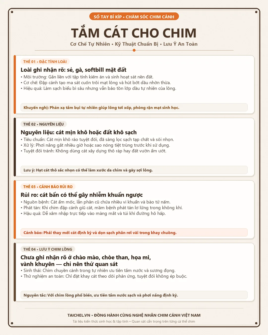 Infographic Tắm cát cho chim cảnh: Bản năng tự loại mạt lông và những điều cần biết trước khi thử cho chim lồng
