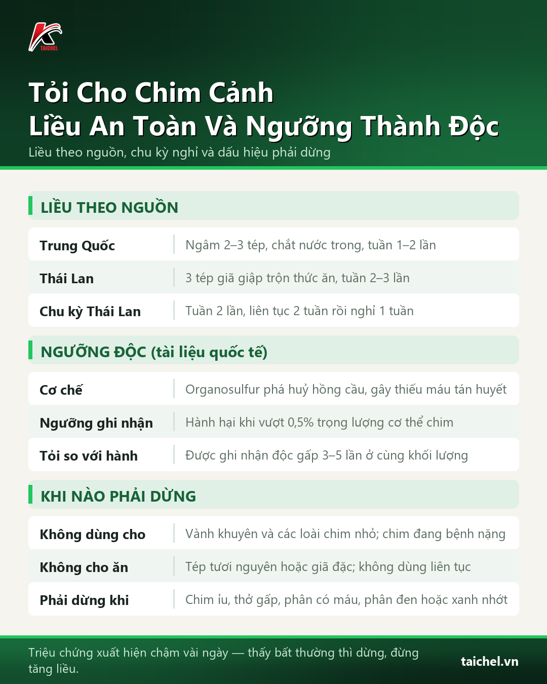 Infographic: Tỏi Cho Chim Cảnh: Liều Dùng An Toàn, Khi Nào Thành Độc