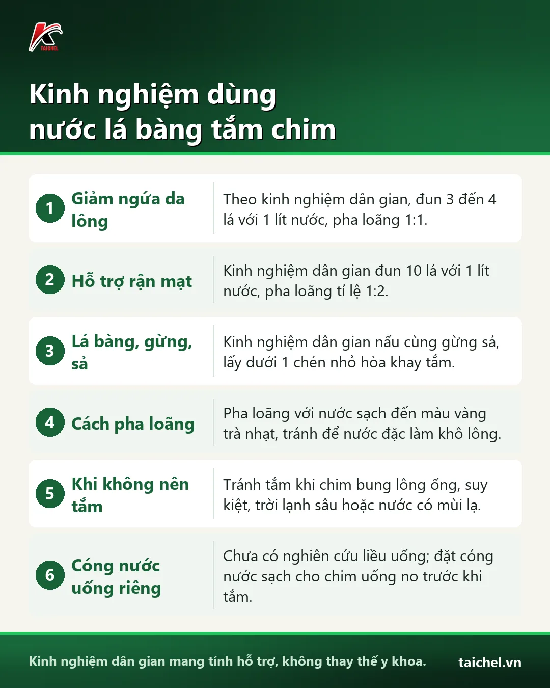 Infographic: Lá bàng tắm cho chim: Tác dụng, cách nấu và lưu ý khi chim uống