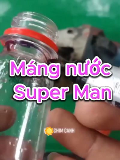 làm máng nước cho chim cảnh Máng nước cho chim phải ưu tiên sạch, khó lật và hạn chế phân hoặc thức ăn rơi vào. Nên chọn vật liệu an toàn, bề mặt nhẵn, dễ tháo rửa và kích thước phù hợp với từng loại chim. Vị trí đặt máng không nên ngay dưới cầu đậu vì phân rất dễ rơi xuống nước. Nước cần thay hằng ngày, máng nhớt phải chà rửa thay vì chỉ châm thêm nước mới. Với chim uống nhiều bất thường, cần theo dõi thêm lượng ăn, phân và nhiệt độ môi trường. Kết hợp nước sạch với Cám chim TAICHEL giúp duy trì khẩu phần ổn định và thuận tiện chăm sóc hằng ngày. #mangnuocchochim #chimcanh #chamsocchim #nuoichim #dinhduongchim #camchimTAICHEL #TAICHEL